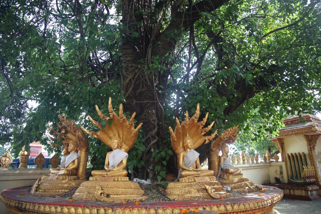 Золотая ступа, Храм Пха Тхат Луанг (Pha That Luang) , Laos Trip Travel
