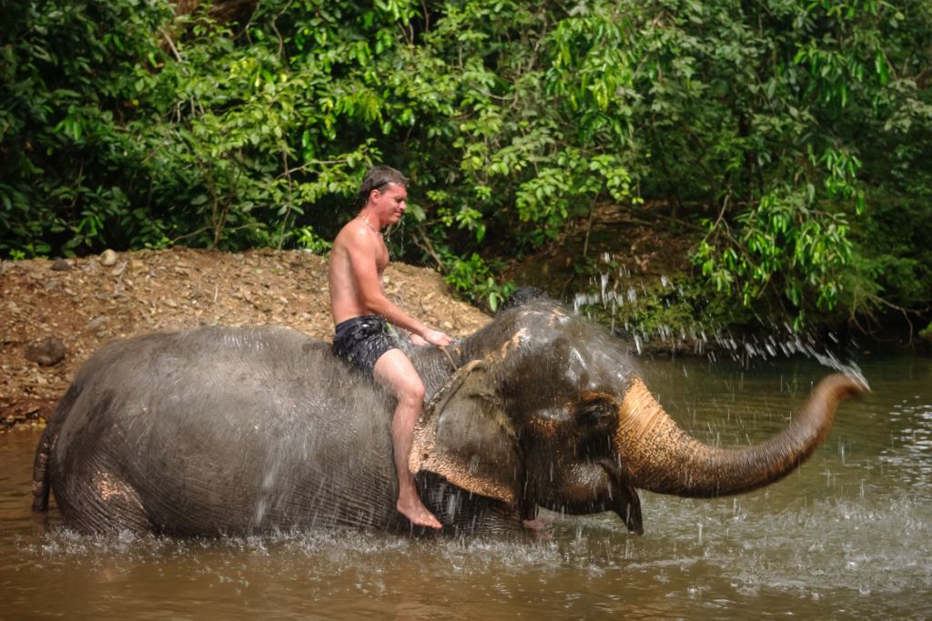 Dudhsagar, waterfall, Indian elephant, monkey, feed the animals, индийский слон, обезьяны, покормить животных, кормим слона, душ на слоне, дикие обезьяны едят с рук, водопад, Индия, Гоа, Дудхсагар, дудсагар , джунгли, экскурсия, Гоа