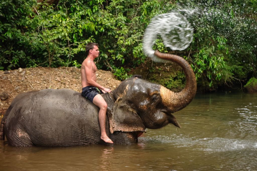Dudhsagar, waterfall, Indian elephant, monkey, feed the animals, индийский слон, обезьяны, покормить животных, кормим слона, душ на слоне, дикие обезьяны едят с рук, водопад, Индия, Гоа, Дудхсагар, дудсагар , джунгли, экскурсия, Гоа