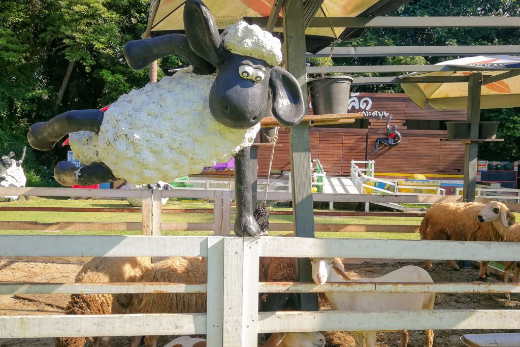 Таиланд, Самуи, развлечения на Самуи, Самуи для детей, куда сходить с детьми на Самуи, детская площадка Самуи, овечья ферма, овечья ферма Самуи, кролики, покормить животных, Samui sheep farm