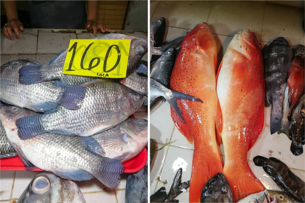 Philippines, Panglao, Bohol, seafood prices Philippines 2020, seafood prices Bohol 2020, seafood prices Panglao 2020, Tagbilaran prices 2020, how much fish costs in the Philippines, fish market Philippines, Филиппины, Панглао, Бохол, цены на морепродукты Филиппины 2020, цены на морепродукты Бохол 2020, цены на морепродукты Панглао 2020, Тагбиларан цены 2020, сколько стоит рыба на Филиппинах, рыбный рынок Филиппины,