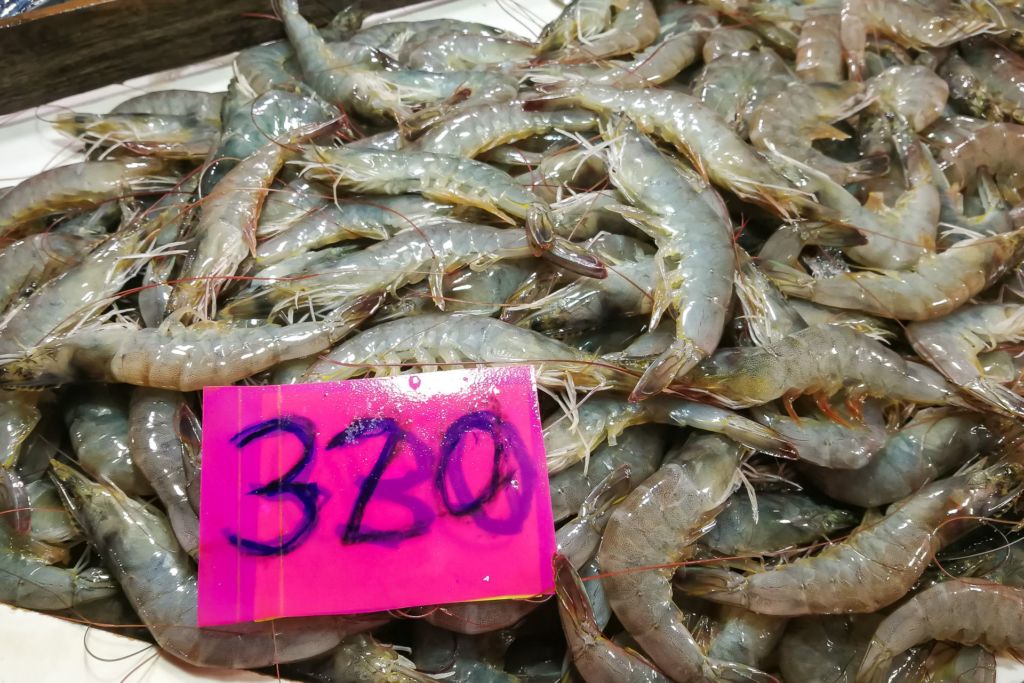 Philippines, Panglao, Bohol, seafood prices Philippines 2020, seafood prices Bohol 2020, seafood prices Panglao 2020, Tagbilaran prices 2020, how much fish costs in the Philippines, fish market Philippines, Филиппины, Панглао, Бохол, цены на морепродукты Филиппины 2020, цены на морепродукты Бохол 2020, цены на морепродукты Панглао 2020, Тагбиларан цены 2020, сколько стоит рыба на Филиппинах, рыбный рынок Филиппины,